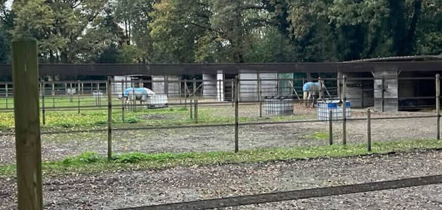 Mini Kempen workshop 05&06-09-26